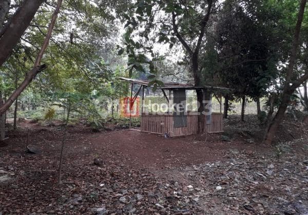 Dijual Tanah 5500m Di Cinangka Depok. Akses Jalan Raya 2 Mobil.