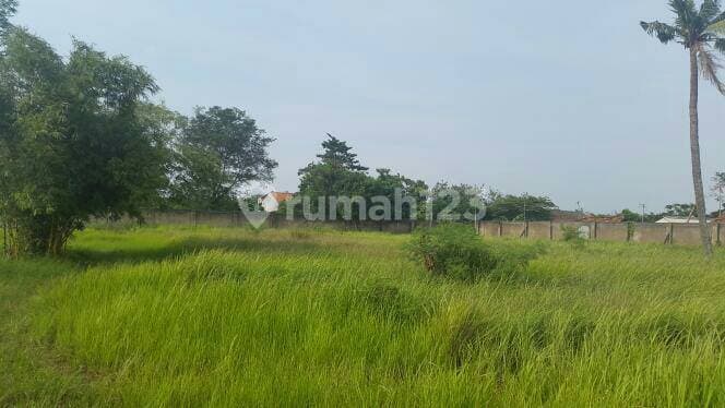 Tanah Pinggir jalan, Lokasi Strategis dan dekat dengan Tol di Cikarang Utara