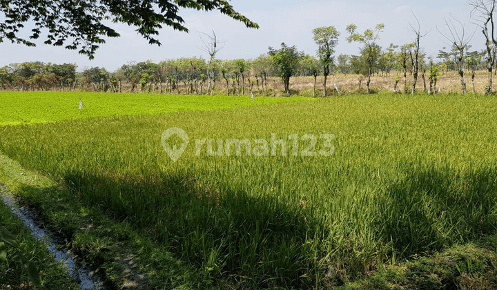 Land for Warehouse and Industry in Kraton Pasuruan