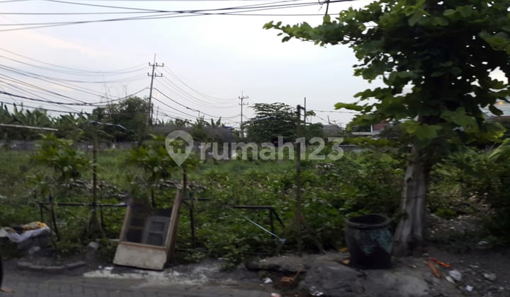 Tanah Raya Lontar Tanah Raya Lontar