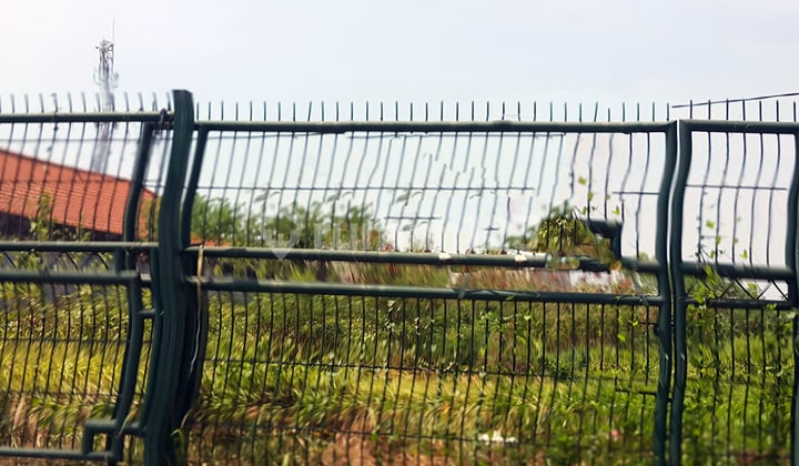 Tanah Raya Lontar MURAH Tanah Raya Lontar MURAH