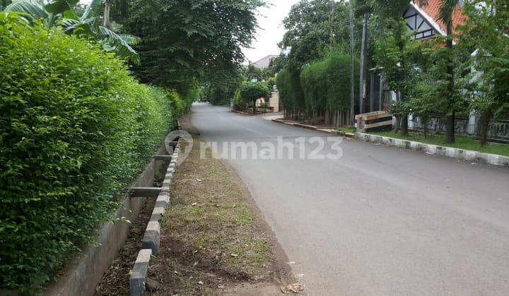 Turunnnn harga tnh di Billy Moon Pd Kelapa