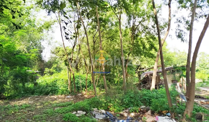 Tanah Siap Bangun Lokasi di Karanganyar Tanah Siap Bangun Lokasi di Karanganyar