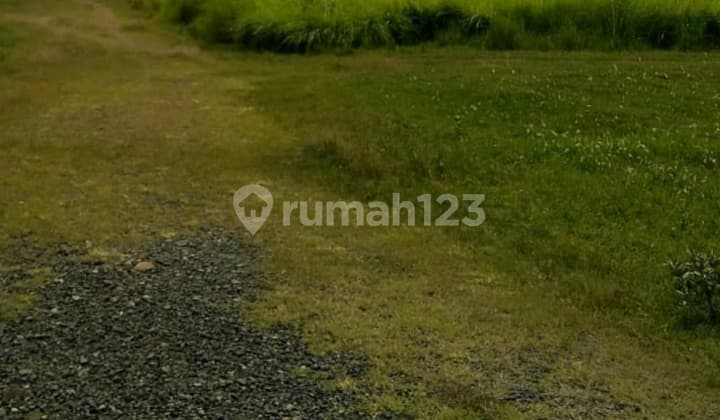 Warehouse/Commercial Land, Affordable Price, Prime Location