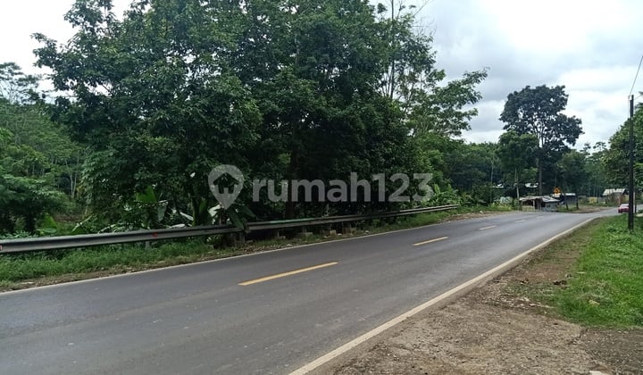 Tanah lokasi strategis, jalan raya propinsi