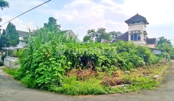 Murah di Dieng dekat Unmer Murah di Dieng dekat Unmer