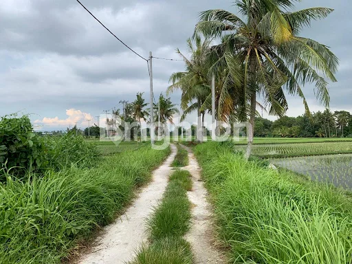 TANAH DEKAT PANTAI KEDUNGGU TABANAN
