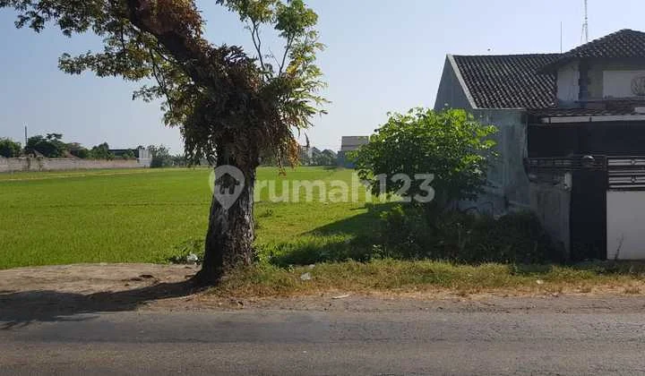 Cheap land and a highly strategic location. Cheap land and a highly strategic location.