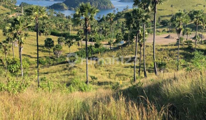 Tanah super keren dengan view yang yang sangat keren, sunset view. Berada dekat atlantis on the rock