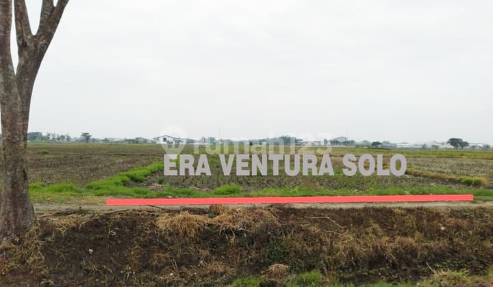 Parangjoro Factory Area Land