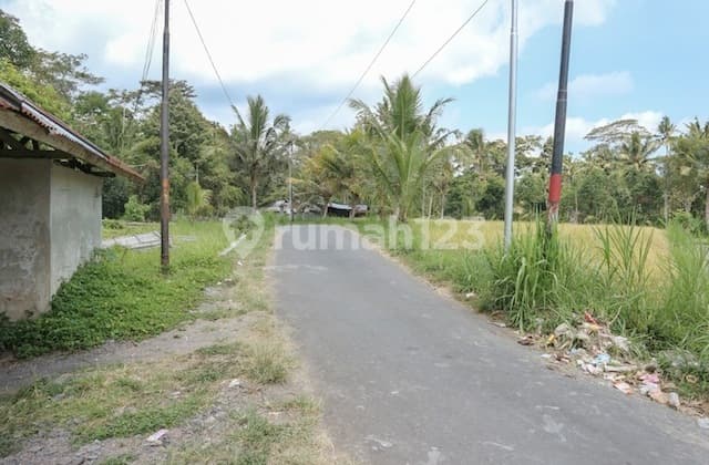 RIVER FRONT!! 5,8 Hectar JUNGLE VIEW At Tampak Siring, Ubud
