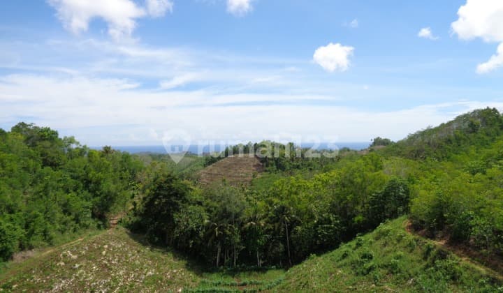 Potensi Investasi yang sangat bagus di Malang Selatan