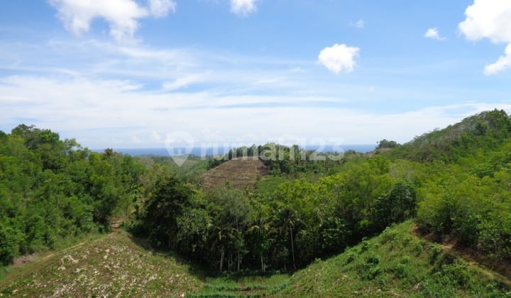 Potensi Investasi yang sangat bagus di Malang Selatan