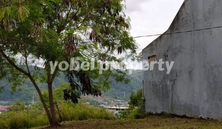 Lahan di Buper Waena, Jayapura, Papua