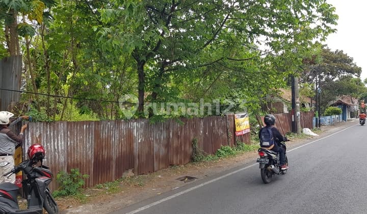 Tanah pekarangan tepi jalan Ring Road Utara, cocok untuk gudang , kantor atau segala macam usaha
