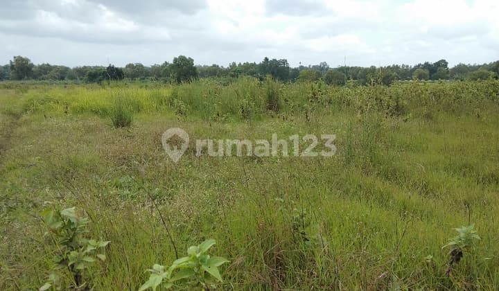 tanah padat siap bangun pabrik