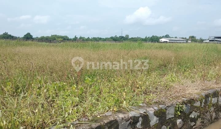Solid land ready for factory construction