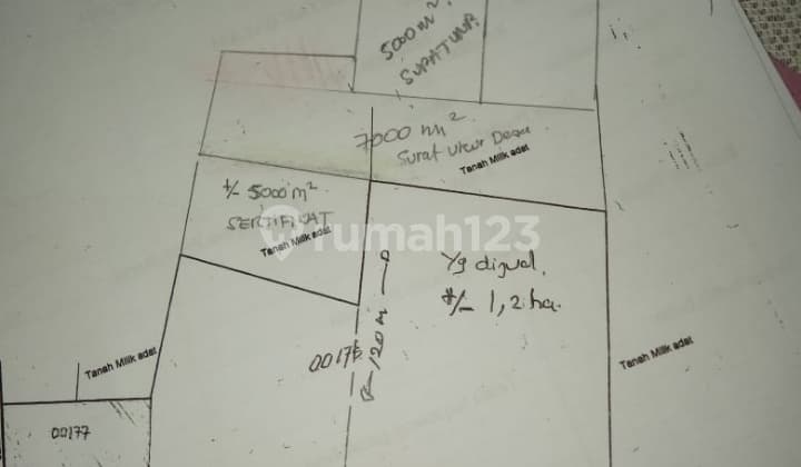 Tanah 1~2h Di Jl Manado Bitung Kaima Buat Industri Distributor