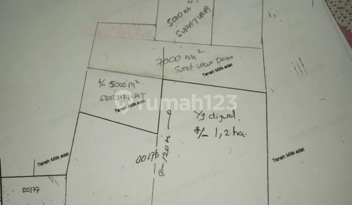 Tanah 1~2h Di Jl Manado Bitung Kaima Buat Industri Distributor