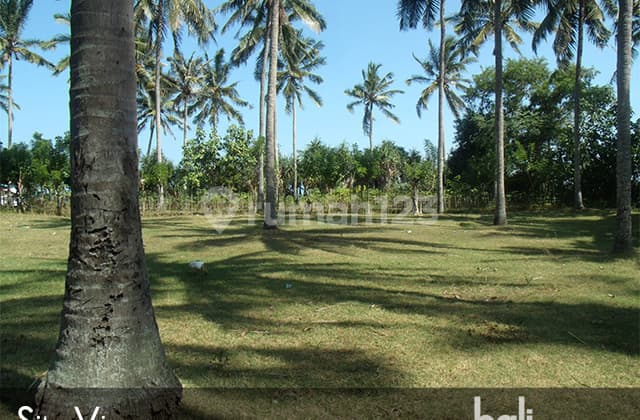 Prime Beachfront Land - 3040 Sqm Freehold Plot In Jembrana - 1918 - L