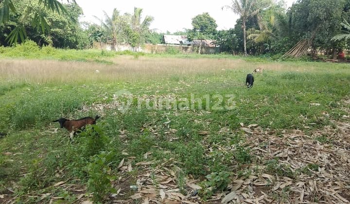 Tanah padat siap bangun pabrik