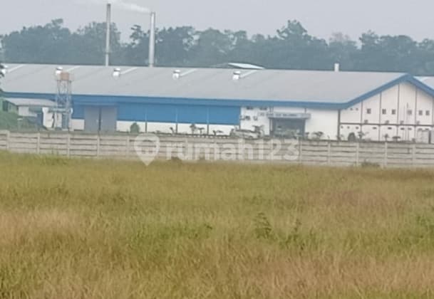 Tanah padat siap bangun industri