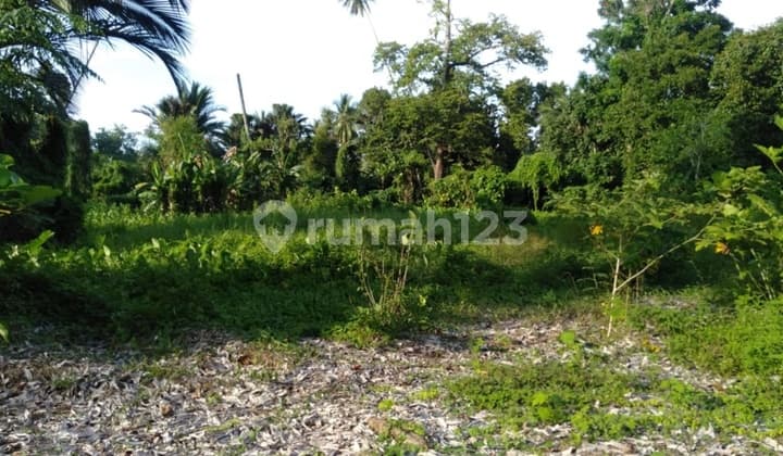 1.6 Hectare Land on Sukarno Street, Suitable for Warehouse and Office.