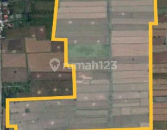 Disewakan Tanah 37 ha di Surabayan Lamongan, Peruntukan industri