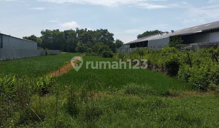 Tanah Industri Raya Kedamean Nol Jalan Raya