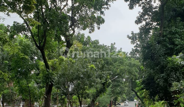 LAND ON JL KERTANEGARA KEBAYORAN BARU (IN FRONT OF THE PARK) (FOR SALE)