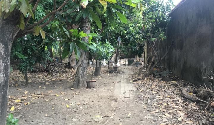 Tanah Cocok untuk Rumah di Gatot Subroto Timur