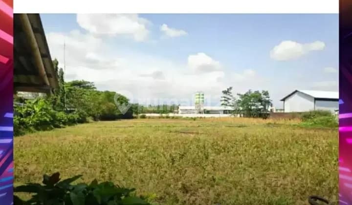 TANAH SAWAH PINGGIR JALAN UTAMA BANGSAL ! NEGO SAMPAI DEAL !!