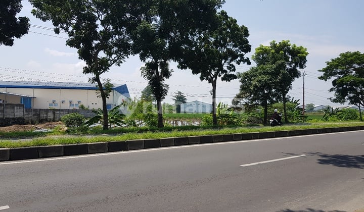 Red Zone Land in Grogol, Sukoharjo, Solo