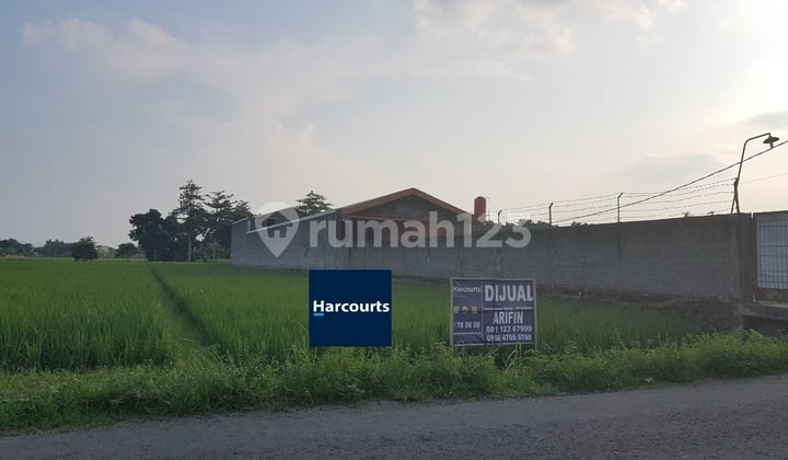 Tanah murah kawasan pergudangan sukoharjo, dekat solo baru