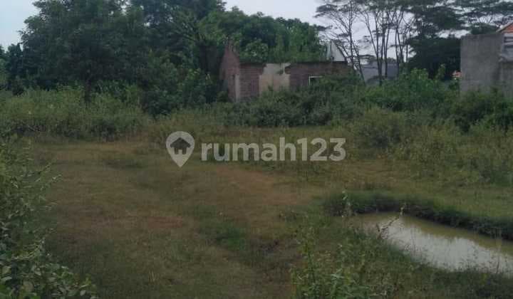 Tanah Kavling Pejaten Kramatwatu Link. Sibomber