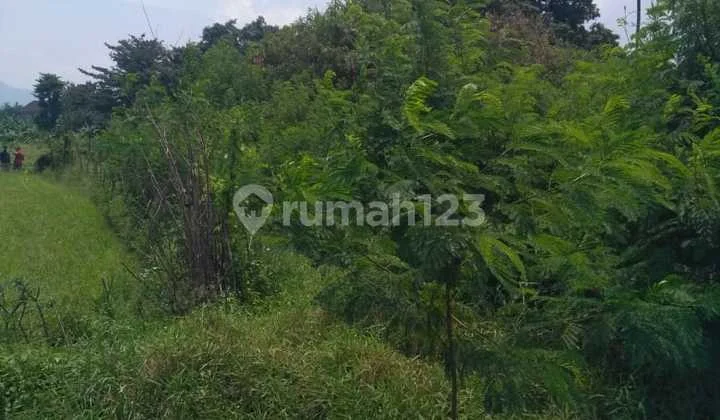 Tanah Sawah Lingkungan Acing Tanah Sawah Lingkungan Acing