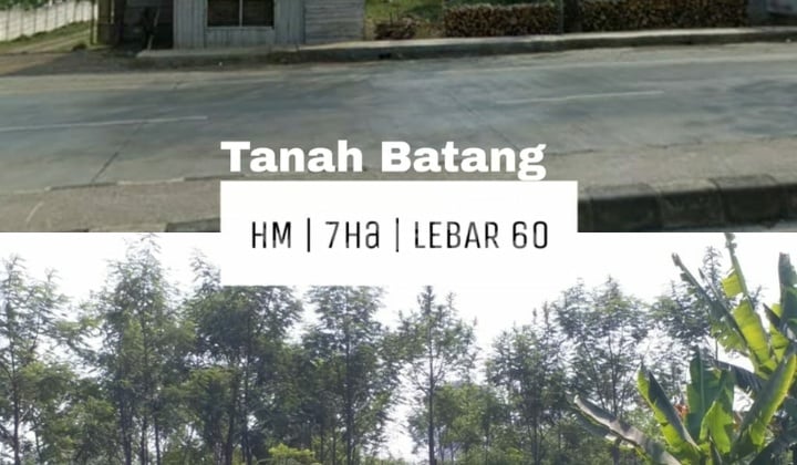 tanah pinggir jalan raya