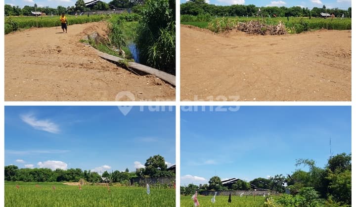 Buc Tanah Lingkungan Villa di Ketewel Gianyar Bali