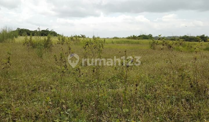 Tanah siap bangun industri dan pergudangan
