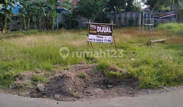 Tanah Kavling Jl. Lumba-lumba