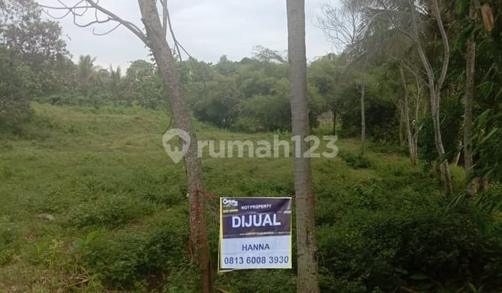 Gondang Waringinkurung River Land