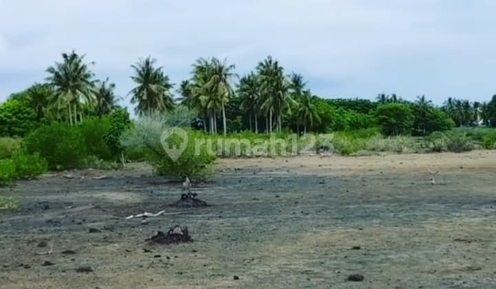 Tanah di Gili Gede, Dekat Pantai
