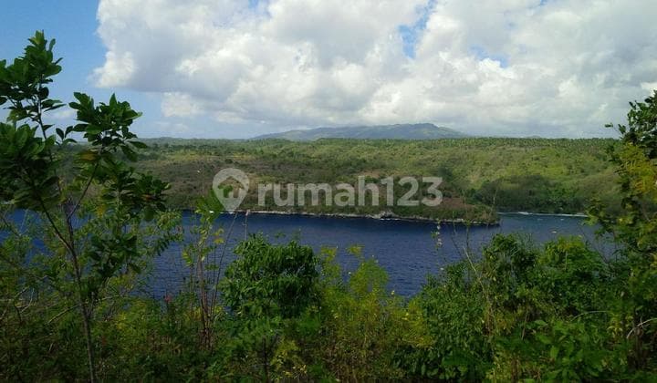 tanah pinggir tebing di gamat bay nusa ceningan,harga menarik