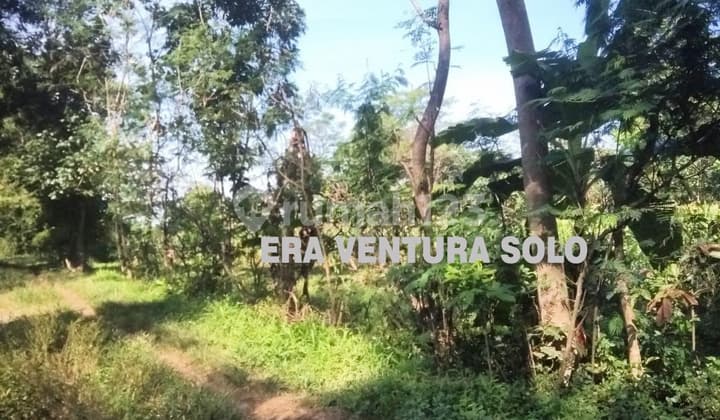 Tanah Zona Kuning Musuk Boyolali