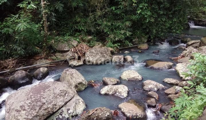Tanah View Sungai Dan Jungle Dekat Bali Eco Stay