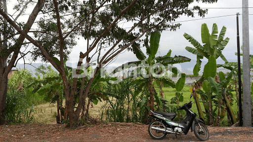 TANAH DI BY PASS IDA BAGUS MANTRA TANAH DI BY PASS IDA BAGUS MANTRA