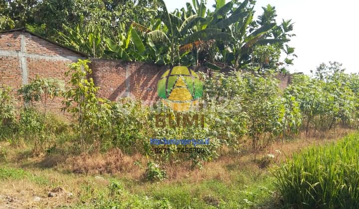 Land Ready to Build Location in Jaten Karanganyar Area 300 Meters.