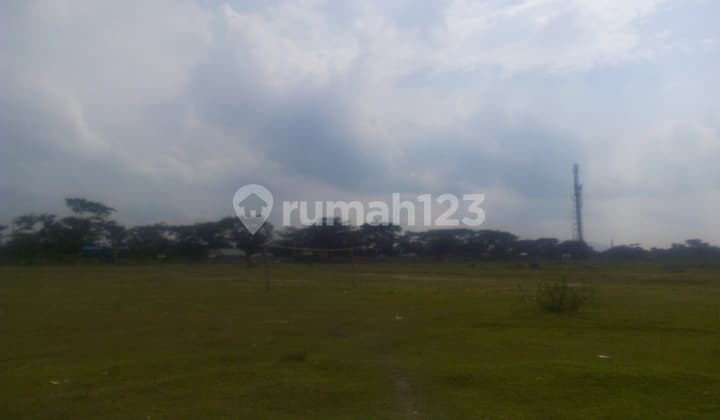 Tanah Luas Tanah 15,8 Ha, Rp.550rb permeter Lokasi Serang Timur