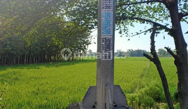 Mojoagung Land, Jombang, Zero Provincial Highway, 5000 m2