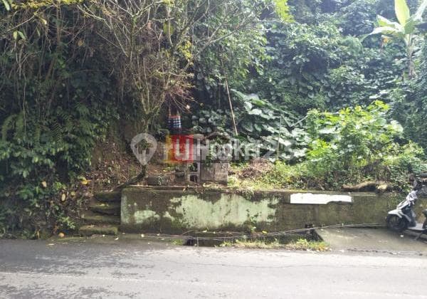 Tanah di Ubud dekat Bukit Campuhan Jl. Penestanan Kedewatan Ubud